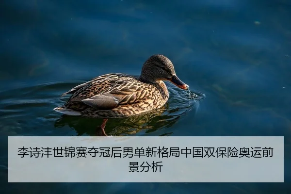 李诗沣世锦赛夺冠后男单新格局中国双保险奥运前景分析